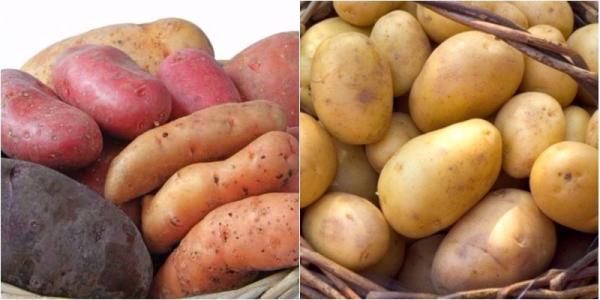 Khoai lang và khoai tây: Loại nào tốt hơn? - 0