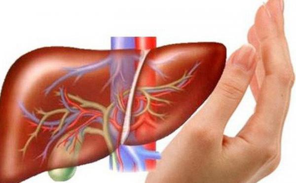 Ghi nhớ nguyên tắc 4 không khi ăn uống để ngăn ngừa bệnh gan - 0
