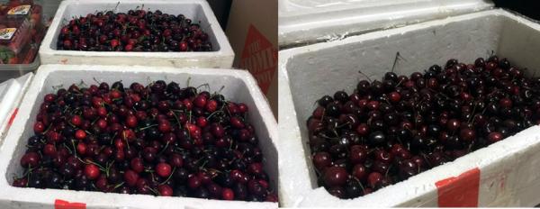 Bay từ Mỹ về Việt Nam, thùng cherry bị vơi mất 1/3 - 0