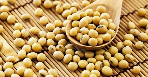 Đầu óc minh mẫn, đẩy lùi ung thư nhờ đậu nành - 0