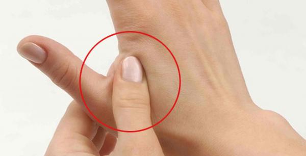 Thải độc cho ngũ tạng nhờ thực phẩm quen thuộc cùng với 1 động tác đơn giản - 0
