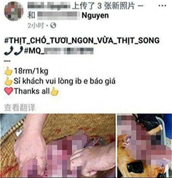 42 4 Nhieu Nguoi Viet Ra Nuoc Ngoai Bi Ghet Vi Hanh Xu Phan Cam