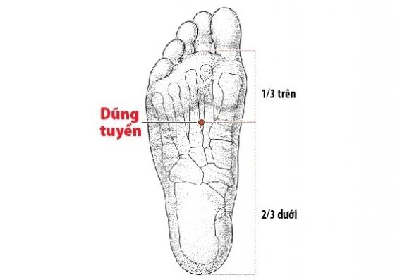 42 11 Ban Can Nho Ky 9 Huyet Vi La Chia Khoa Co The Cuu Mang Khi Ban Gap Nguy Nan