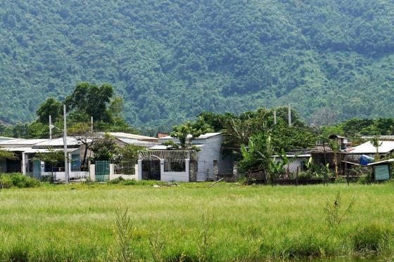 42 2 Da Nang Lo Ly Do Pho Bi Thu Chu Tich Quan Dong Loat Bi Ky Luat