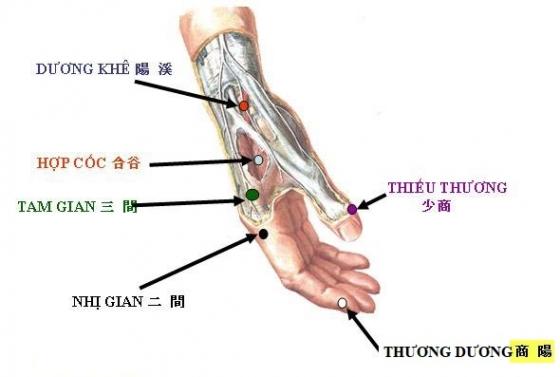 42 9 Ban Can Nho Ky 9 Huyet Vi La Chia Khoa Co The Cuu Mang Khi Ban Gap Nguy Nan