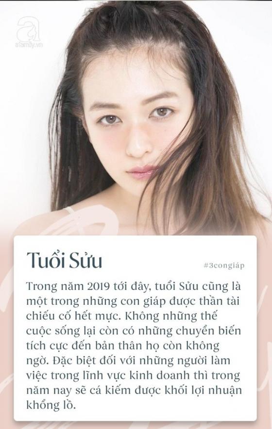 42 2 3 Con Giap Bung No Ve Tai Van Lan Su Nghiep Nam 2019 910 Nguoi Giau Co Con Duong Day Hoa Dang Cho