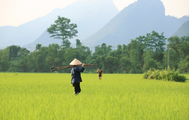 viet kieu o duc duoc va mat gi khi hoi huong ve viet nam bao tintucvietduc