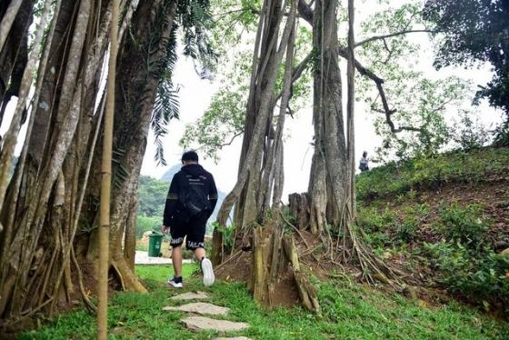 42 14 Ky La Cay Da Di Chuyen O Ninh Binh