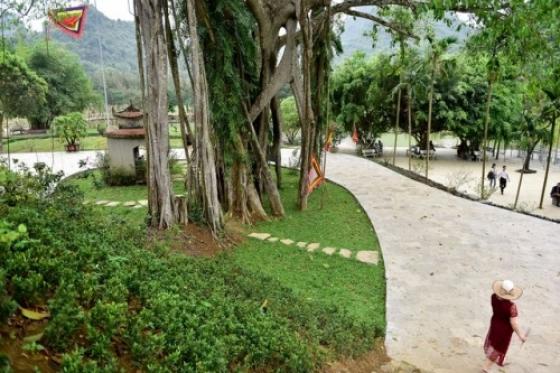 42 1 Ky La Cay Da Di Chuyen O Ninh Binh