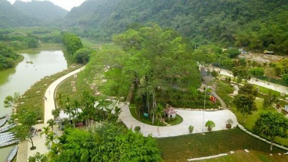 42 2 Ky La Cay Da Di Chuyen O Ninh Binh