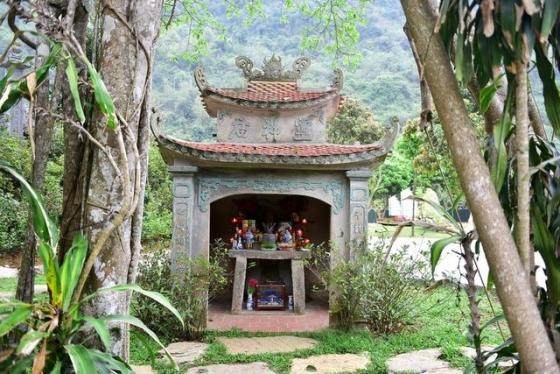 42 4 Ky La Cay Da Di Chuyen O Ninh Binh