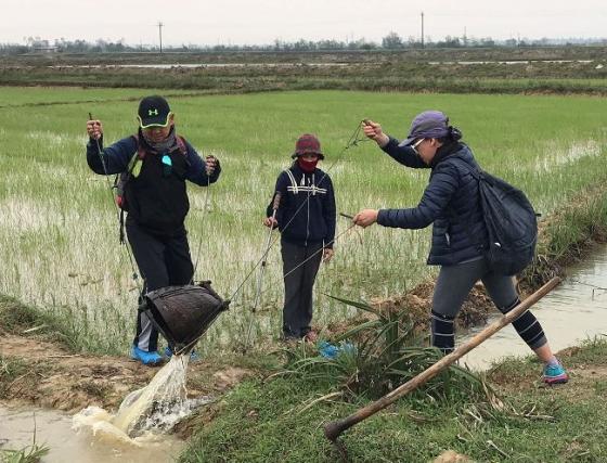 42 2 Cap Vo Chong Viet Kieu Ngoai 60 Tuoi Di Bo Xuyen Viet