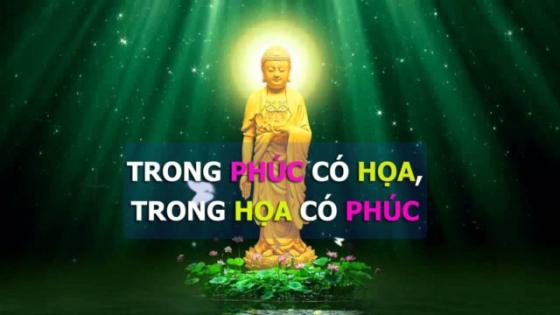 42 2 Trong Hoa Co Phuc Trong Phuc Co Hoa Muon Duoc An Yen Can Biet Menh Minh Luat Troi Ma Hanh Xu Cho Phai Dao