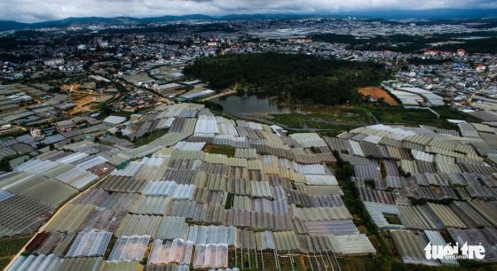 42 8 Da Lat Nhin Tu Flycam Thanh Pho Betong Chu Dau Phai Thanh Pho Trong Rung