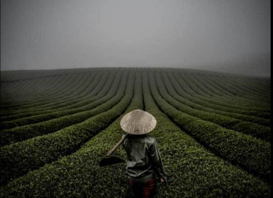 42 4 Viet Nam Dep Nghet Tho Qua Ong Kinh Nhiep Anh Gia My