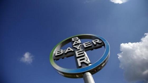 42 1 Cong Ty Hoa Chat Bayer Cua Duc Bi Tan Cong Mang