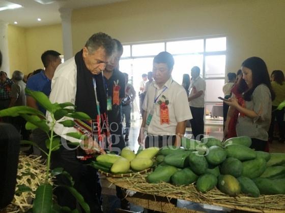 42 6 Son La Lan Dau Xuat Khau Xoai Sang Anh