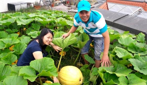 42 1 Thien Duong Tren Noc Nha Cua Anh Dau Bep Viet O Duc Khien Ai Cung Nguong Mo