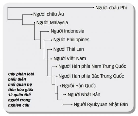 42 2 Cong Bo Nghien Cuu Bo Gen Nguoi Viet Bat Ngo Ve Nguon Goc