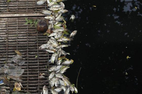 42 2 Ha Noi Xa Nuoc Cuon Troi Toan Bo Ket Qua Thi Nghiem Cua Chuyen Gia Nhat O Song To Lich