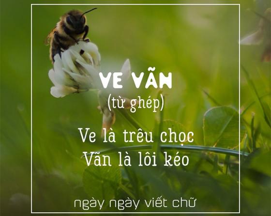 42 8 Phu Nu Viet Nam Thuong Hay Duoc Khen Tao Tan Nhung Tao Va Tan Co Nghia La Gi