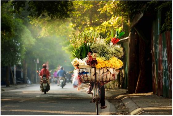 42 11 Ha Noi Dang Song The Nao Trong Mat Nguoi Ha Noi