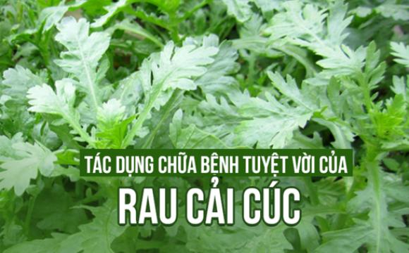 42 1 Nhung Ly Do Vi Sao Cai Cuc Duoc Goi La Rau Hoang De