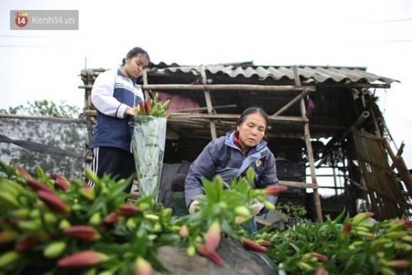 42 2 Thu Phu Hoa Tai Ha Noi No Ro Giua Dich Covid 19 Tuong Thang Vu Ma Thanh Bai Hoa Cuoi Nhung Nguoi Khoc