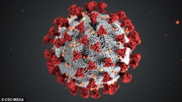 42 1 Nong Virus Corona Bien Doi Thanh 30 Chung Cac Chung Nguy Hiem Nhat O Chau Au
