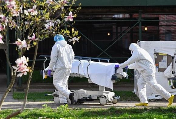 42 1 Virus Sars Cov 2 Toi New York Tu Chau Au Khong Phai Trung Quoc