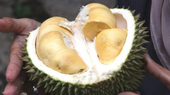 42 1 Bayern Mui Sau Rieng Tu Buu Kien Khien Hang Chuc Nguoi Phai So Tan O Duc