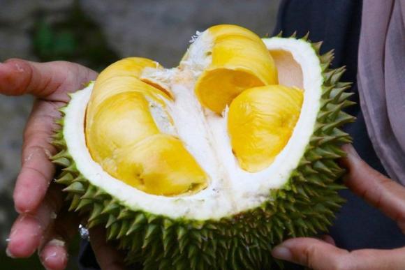 42 1 Sau Rieng Tu Buu Kien Khien Hang Chuc Nguoi Phai So Tan O Duc