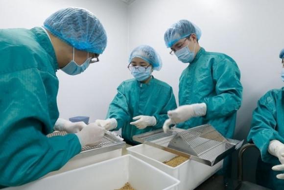 42 1 Vaccine  Covid 19 Made In Vietnam Co Trien Vong Ve Dich Som