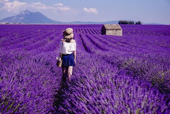 42 1 Song Ao O Nhung Vung Lavender Tren Nuoc Phap