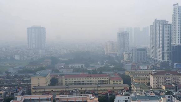 42 1 Thu Pham Gay O Nhiem Tai Ha Noi La Luong Bui Lon Tu Phuong Bac