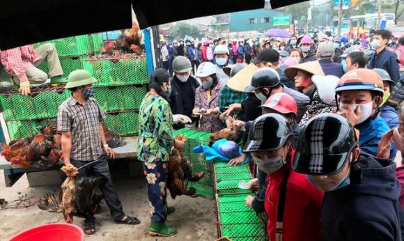 42 1 Sau Rau Cu Qua Den Luot Giai Cuu Ga Doi Hai Duong 55000 Dongkg