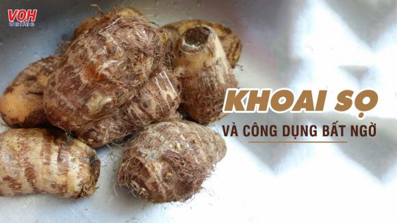 42 1 9 Loi Ich Tuyet Voi Tu Khoai So Ma Khong Phai Ai Cung Biet