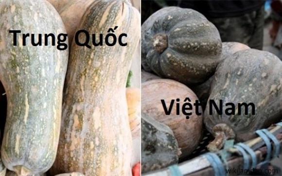 42 9 Nguoi Ban Rau Cu Khong Bao He Rang Cho Ban Biet 3 Giay De Phan Biet Hang Viet Nam   Trung Quoc