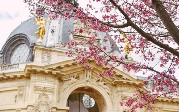 42 6 Bo Tui Kinh Nghiem Ngam Hoa Anh Dao Paris