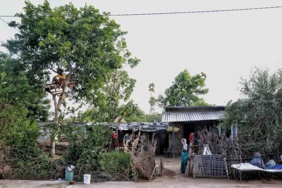 42 2 Thieu Hut Co So Y Te Chang Trai An Do Treo Tren Cay De Cach Ly Sau Khi Biet Minh Nhiem Covid 19