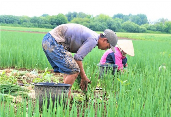 3 Trai Tim Va Niem Vui Cua Phong Vien Thuong Tru Tai Nuoc Ngoai