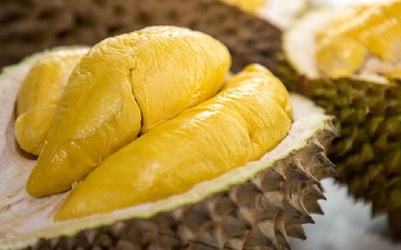 1 Sau Rieng Viet Sang Uc Chua Cap Ben Da Het Hang