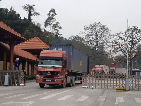 1 Trung Quoc Ngung Nhap Trai Cay Viet Trong Khi Dua Deu Dan 400 Xengay Sang Viet Nam