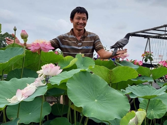 3 Trong Cay Nuoi Ga Tren Noc Nha Giup Gia Dinh Sai Gon Song Ung Dung Nhung Ngay Han Che Di Cho