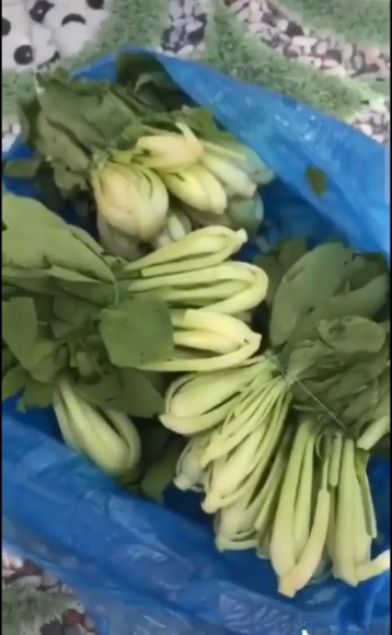 4 Doi Vo Chong Tu Choi Nhan Rau Xanh Tuoi Cam Ca Tui Nem Ra Cua Ho Tro Vay Thi An Gi Xach Ve Di