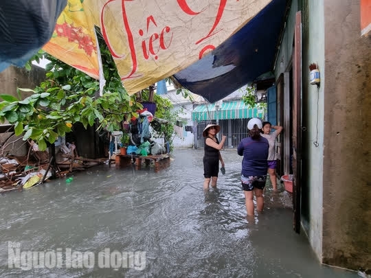 11 Khu Dan Cu Ngap Sau Giua Trung Tam Da Nang