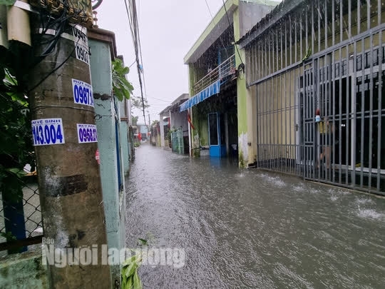 1 Khu Dan Cu Ngap Sau Giua Trung Tam Da Nang