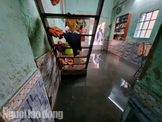 2 Khu Dan Cu Ngap Sau Giua Trung Tam Da Nang