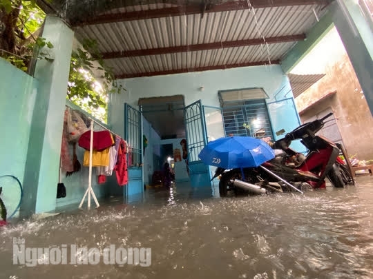 5 Khu Dan Cu Ngap Sau Giua Trung Tam Da Nang
