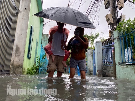 6 Khu Dan Cu Ngap Sau Giua Trung Tam Da Nang